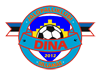 logo Dina 100 70